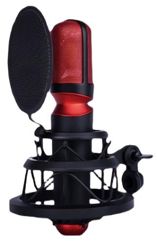 Raw9 professional vocal microphne. Female vocal test.